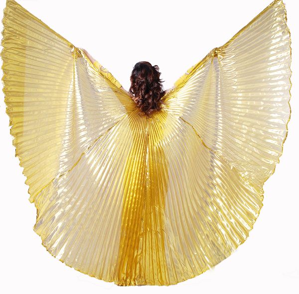 Wings transparente.